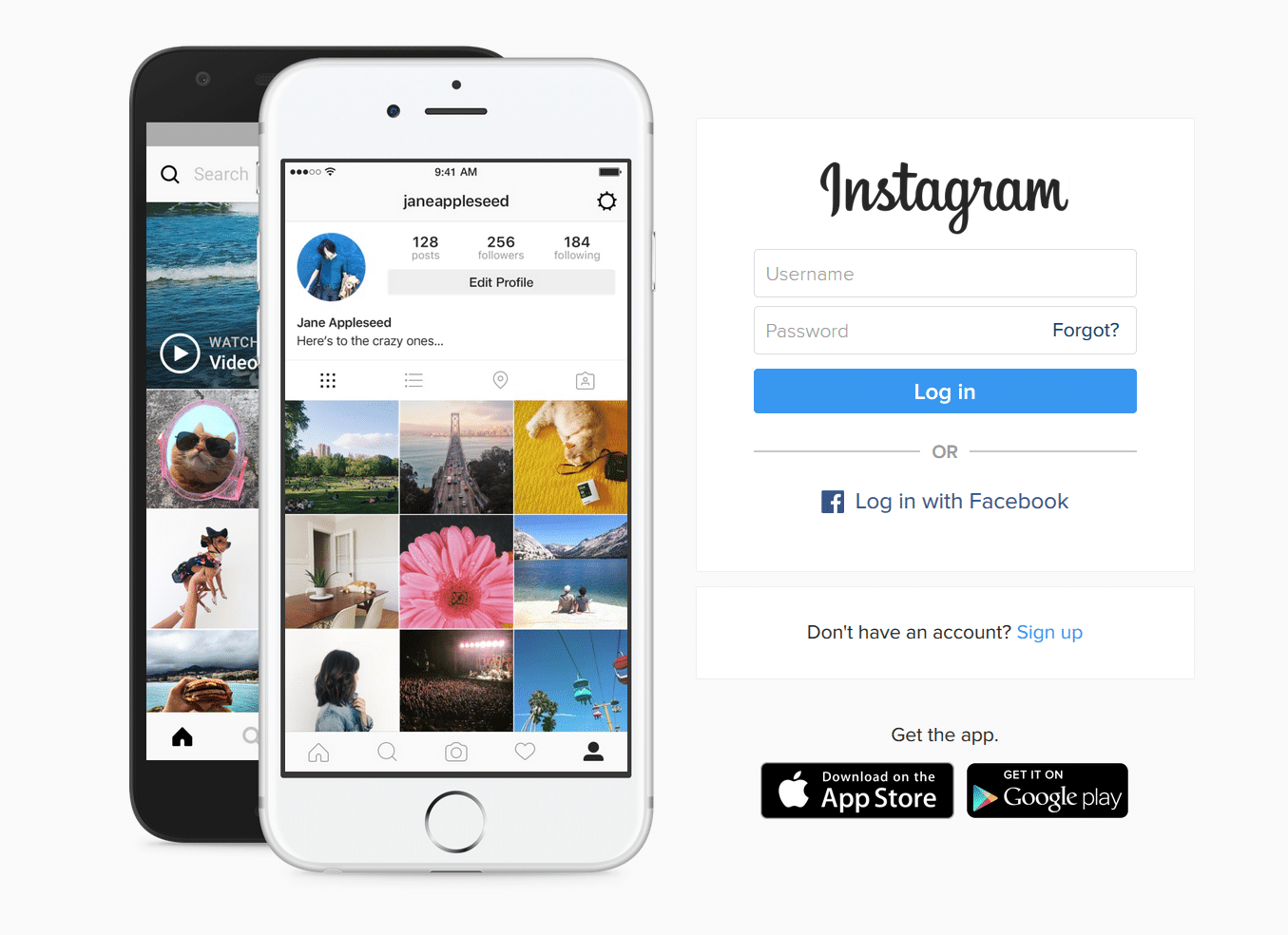 instagram - rockford seo