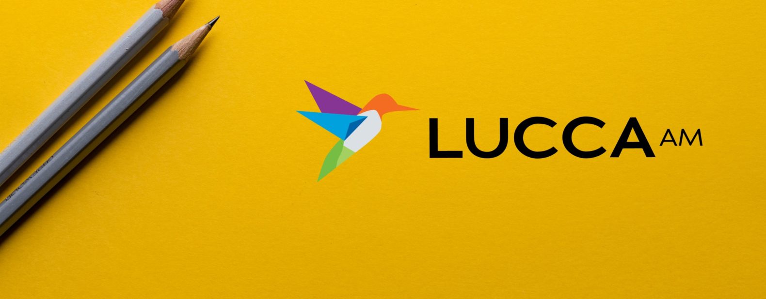 luccaam logo - pencils, Web Development Rockford, PPC Management