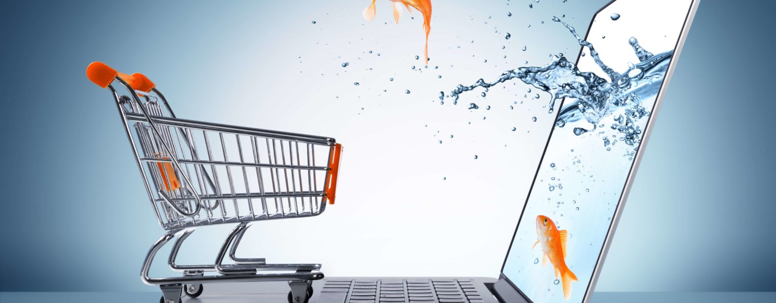 fish jumping out of laptop screen into shopping cart, Web Development Rockford, PPC Management