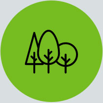 trees icon