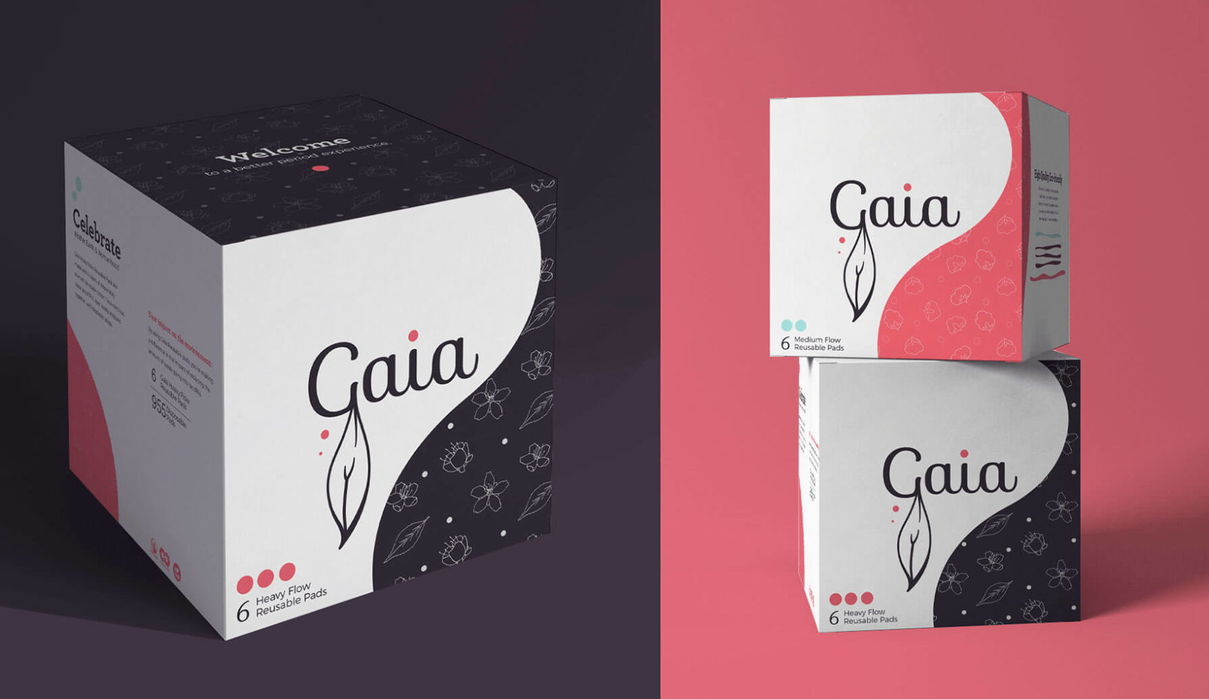 gaia packaging - package design agency, Web Development Rockford, PPC Management