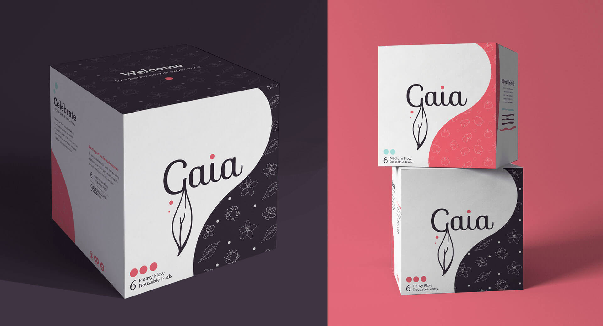 gaia packaging - package design agency, Web Development Rockford, PPC Management