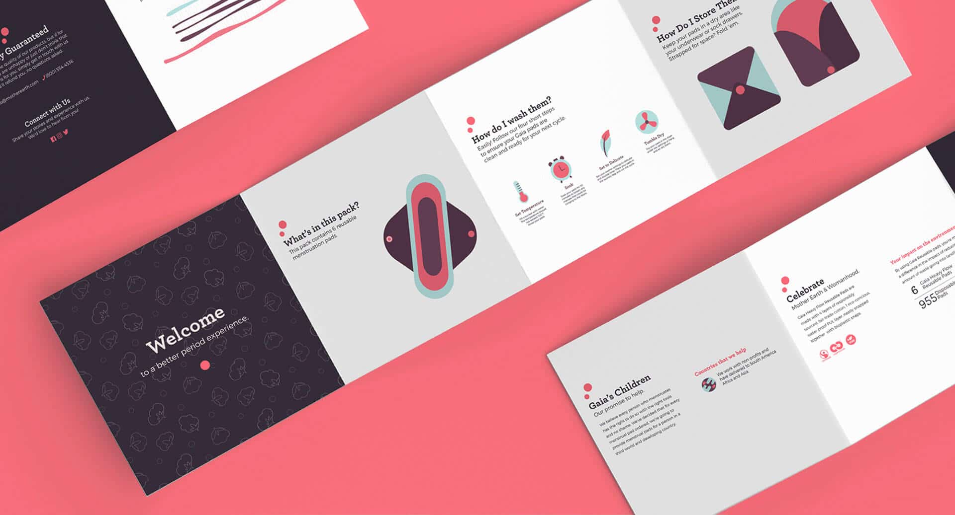 gaia packaging design, Web Development Rockford, PPC Management